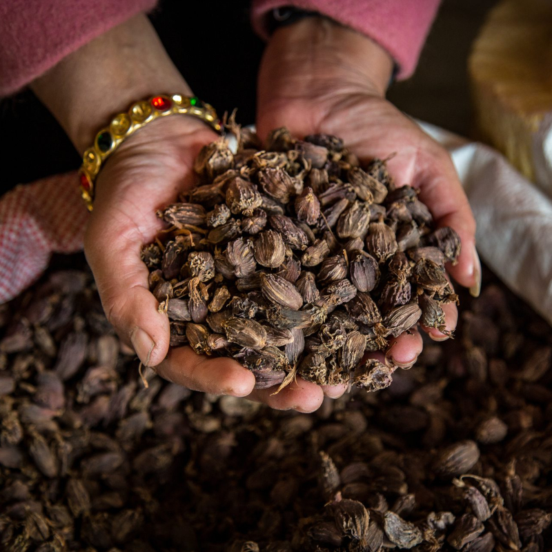 Black Cardamom - Image 4